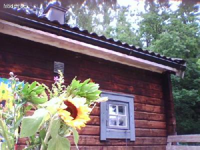 Skogsstuga vid sj�