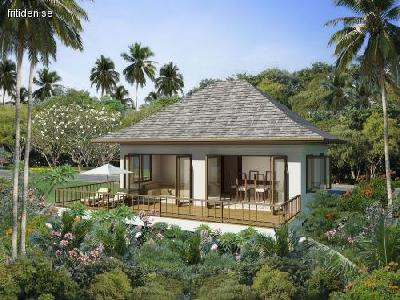 Koh Samui, Som