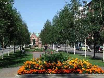 Beautiful flat northen Sweden