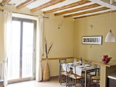 Big holiday apartment