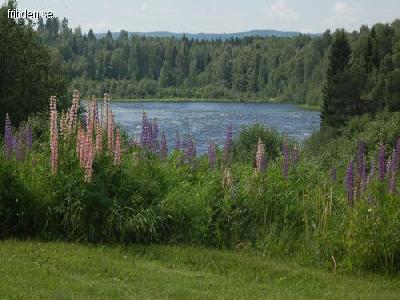 Björkagårdens fd hälsohem