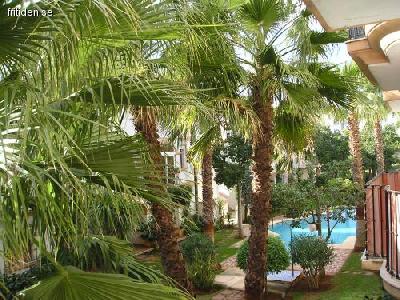 Apartment in Denia