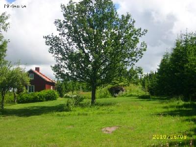 Peaceful cottage with garden