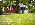 Stuga vid b�ck och skog