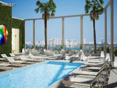 Kanonpris p� l�genhet i MIAMI