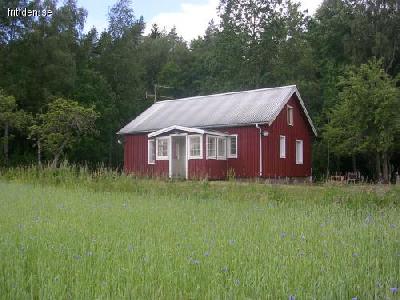 Cozy cottage