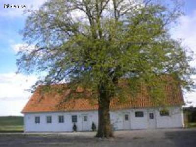 Very nice cottage, Anderslöv