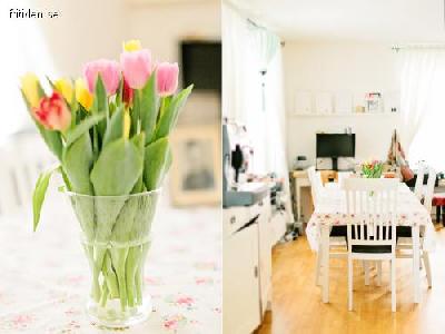 Familjev�nligt p� S�dermalm