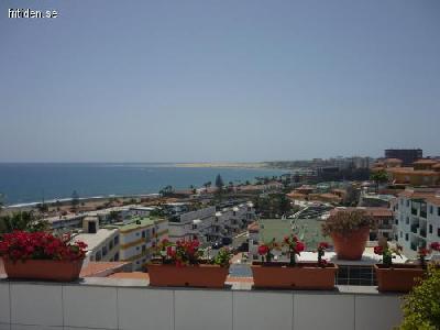 Bungalow i San Agustin säljes