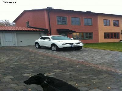 LYXIGT PARHUS N�RA HAVET