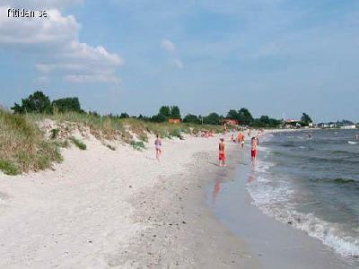 Ljust strandn�ra hus i skog
