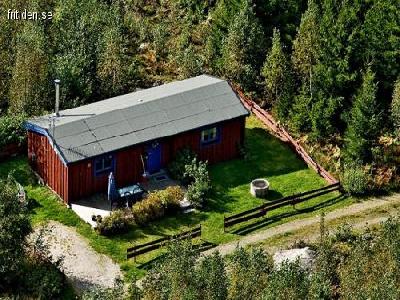 Stuga i skogsmilj�