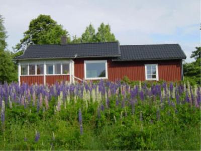 Quaint Homesteads
