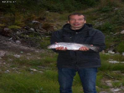 Fj�llbergets stugby