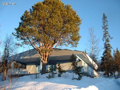 Lofsdalen uppe p� fj�llet