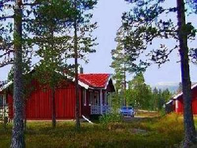 Sommar i S�len