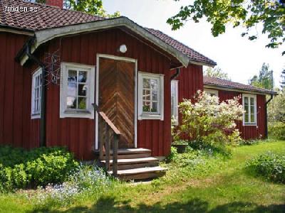 Stor familjestuga med fiske