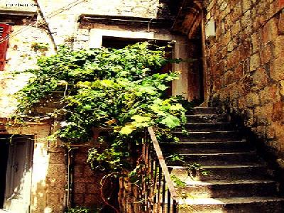 Central Trogir