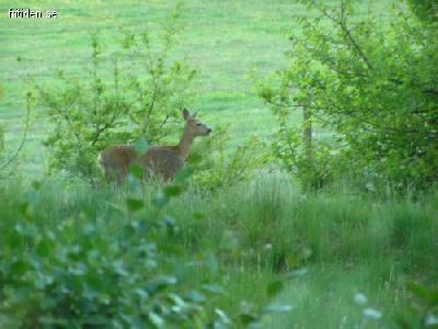 Stuga vid naturreservat