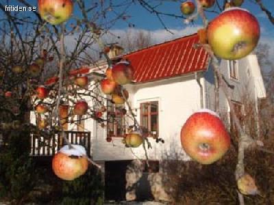 Bed and breakfast �land