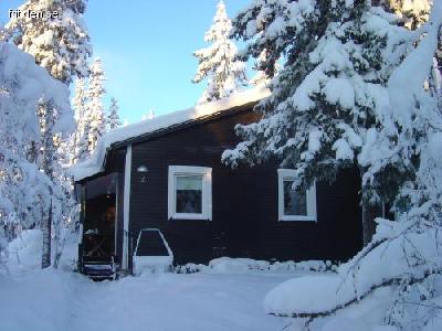 Winter Cottage