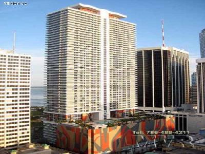 SPECIAL GREAT BISCAYNE MIAM