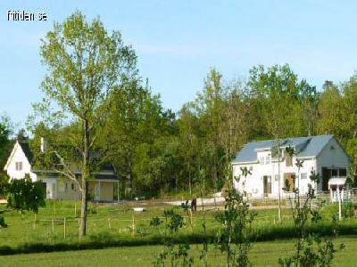 Wohnung mitt Pferd Gotland