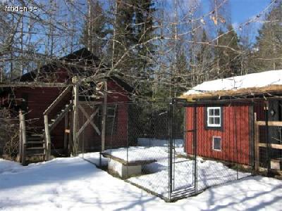 Inrett fräscht loft +hundgård