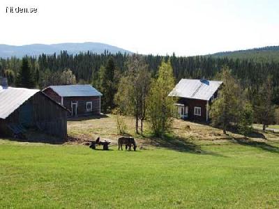 Prisvärt och naturnära boende