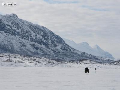 Fj�llen bytes mot havet