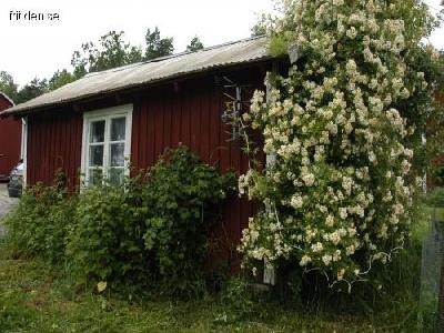Bed&Breakfast nära Stockholm