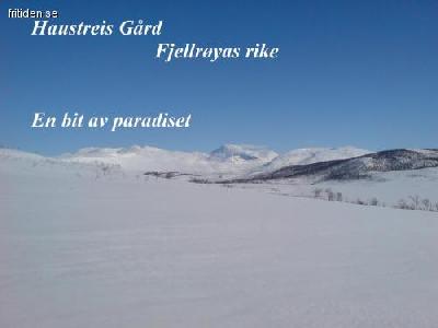 Fjellr�yas paradis