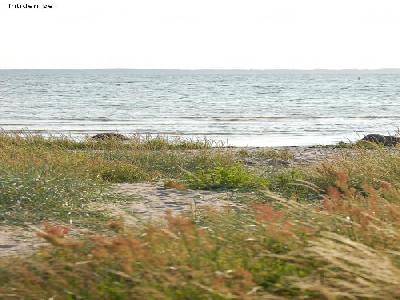 Ljuvlig lägenhet vid havet