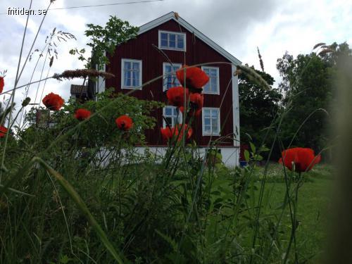 A cosy house for gatherings.