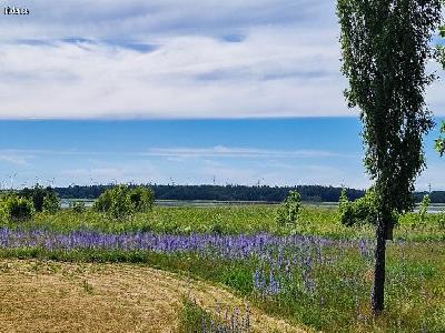 Fint i Fidenäs