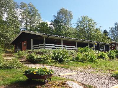 Vättern och skogen inpå knuten