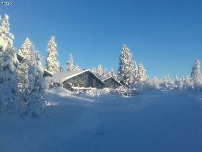 Trivs i Tandådalen