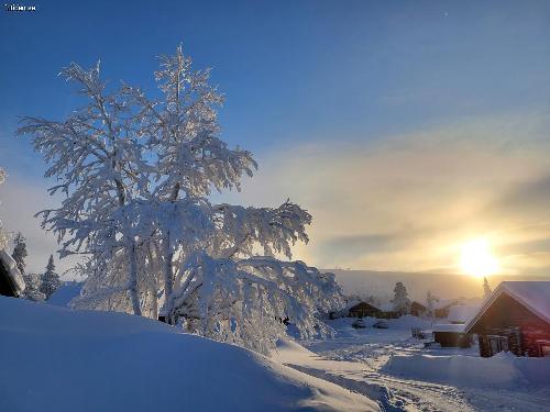 Mysig stuga med ski in/ski out