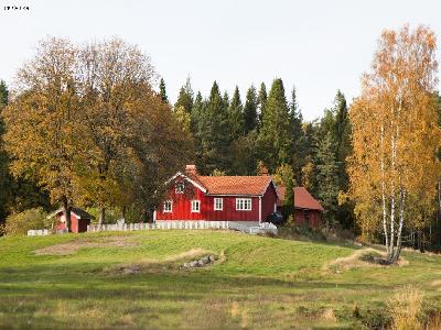 Svensk idyll - hundar välkomna