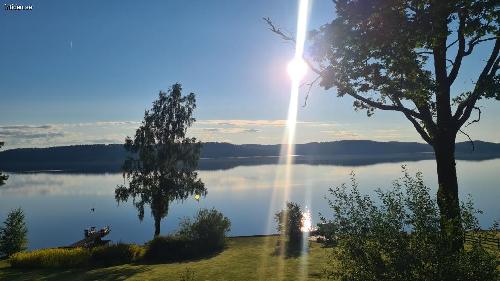 Sjötomt. Familj & hund. Brygga