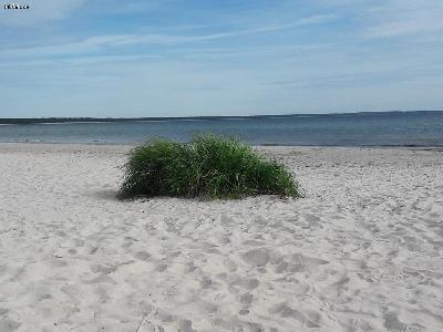Swim and walk along Böda Beach