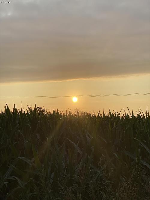 BILDER KMR Härligt brygghus