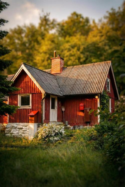 100 Jahre schwed. Waldhütte