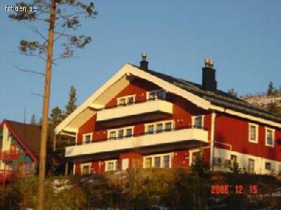  Idrefjäll, boka sommaren