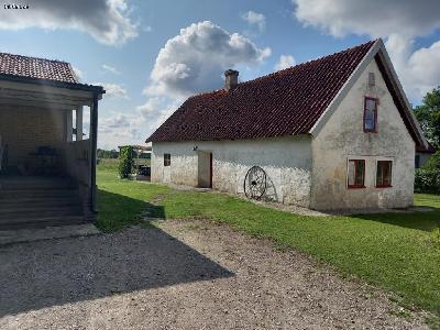 Stein flugel auf N- Gotland