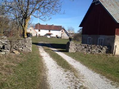 Charmig gotlandsgård vid havet