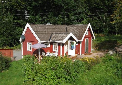 Charming cottage, dogs welcome
