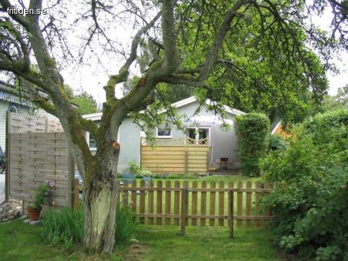 Cabin in Vejbystrand