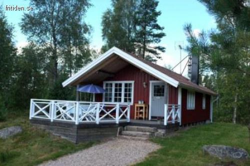 Ungestörte Idylle am Waldsee