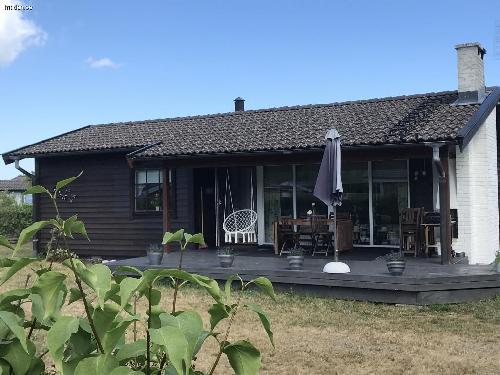 Stor stuga i Djupvik, hund ok.